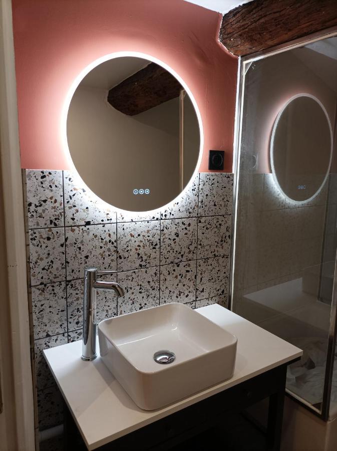 Le Studio D'Emma Apartamento Romans-sur-Isère Exterior foto